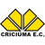 Criciuma Esporte Clube
