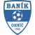 TJ Banik Ohnic
