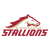 Birmingham Stallions
