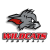 Kirchdorf Wildcats