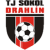 TJ Sokol Drahlin
