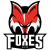 HC Interspar Bolzano-Bozen Foxes