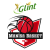Glint Manisa Basket