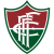 Fluminense de Feira Futebol Clube