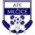 AFK Milcice