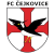 1. FC Cejkovice