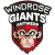Antwerp Diamond Giants