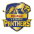 Madurai Panthers