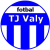 TJ Valy
