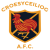 Croesyceiliog FC