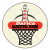 Darica Basketbol Feneri